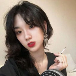 大家来停大卡车4